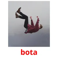 bota picture flashcards