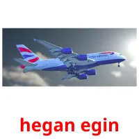 hegan egin picture flashcards