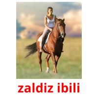 zaldiz ibili card for translate