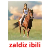 zaldiz ibili picture flashcards