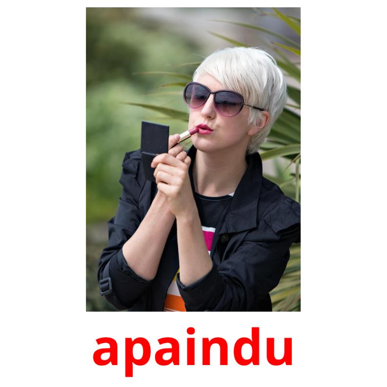 apaindu picture flashcards