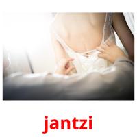 jantzi picture flashcards