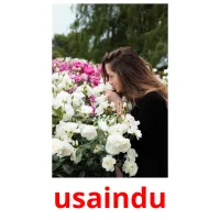 usaindu карточки энциклопедических знаний