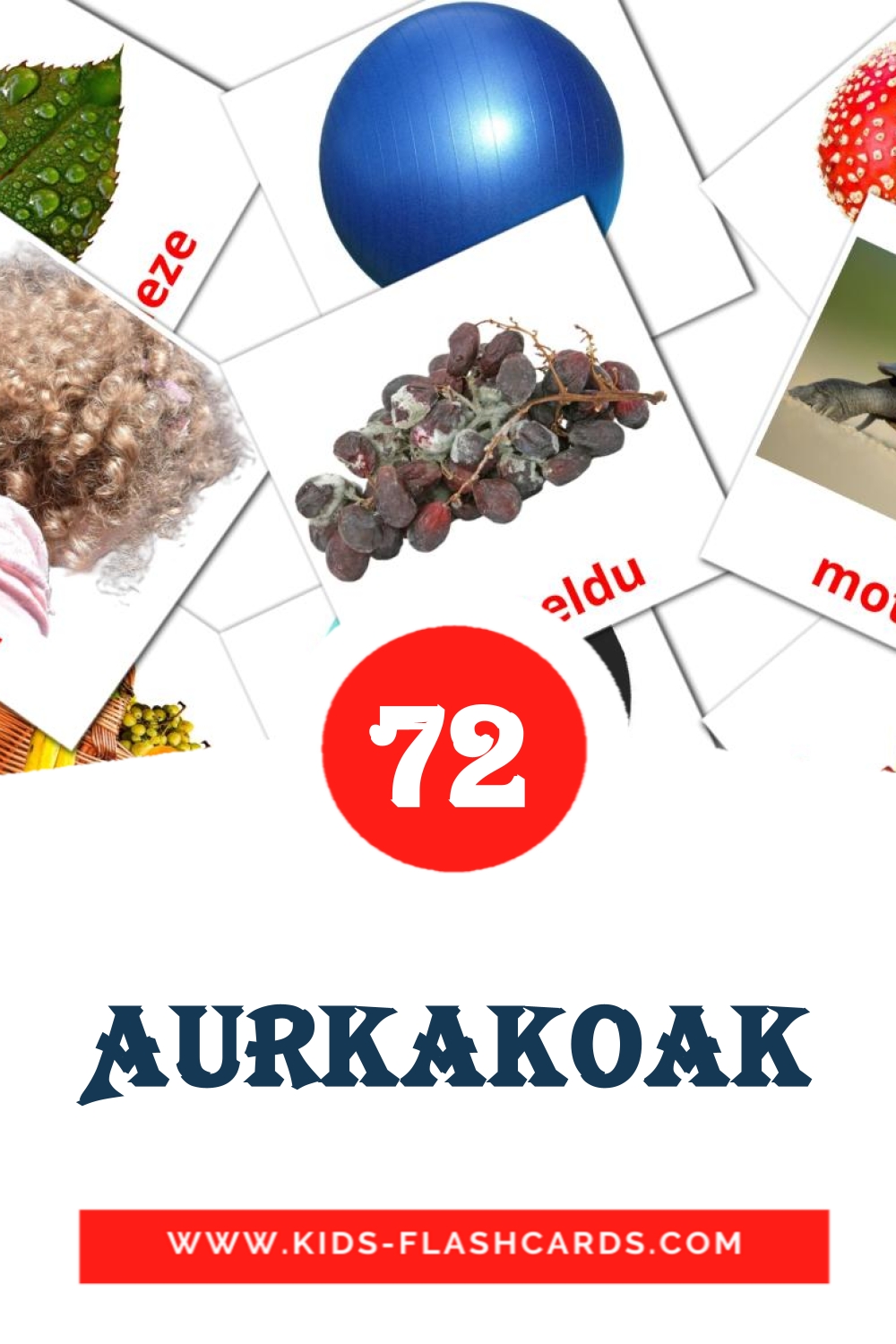 72 Cartões com Imagens de Aurkakoak para Jardim de Infância em basco