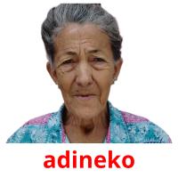 adineko flashcards illustrate