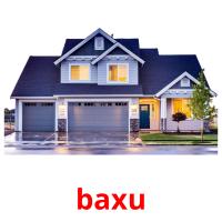 baxu picture flashcards