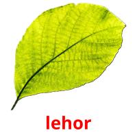 lehor picture flashcards