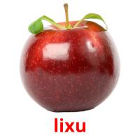 lixu picture flashcards