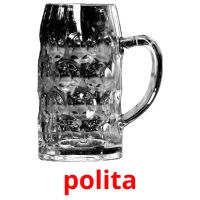 polita Bildkarteikarten