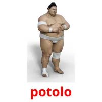 potolo Bildkarteikarten