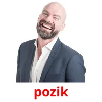 pozik Bildkarteikarten