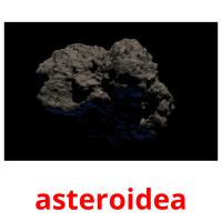 asteroidea cartões com imagens