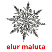 elur maluta cartões com imagens
