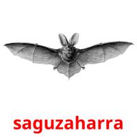saguzaharra picture flashcards