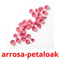 arrosa-petaloak picture flashcards