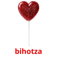 bihotza picture flashcards