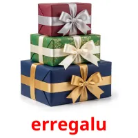 erregalu picture flashcards