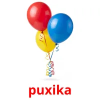 puxika picture flashcards