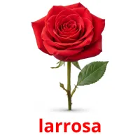 larrosa ansichtkaarten