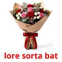 lore sorta bat ansichtkaarten