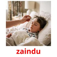 zaindu ansichtkaarten