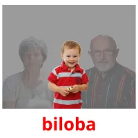 biloba flashcards illustrate