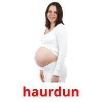 haurdun flashcards illustrate