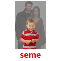 seme flashcards illustrate