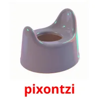 pixontzi picture flashcards