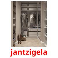 jantzigela flashcards illustrate