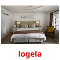 logela picture flashcards
