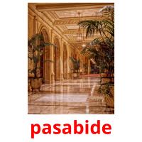 pasabide picture flashcards