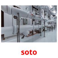 soto picture flashcards