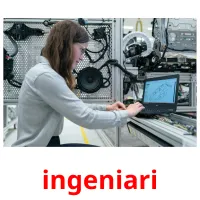 ingeniari picture flashcards