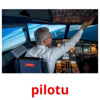 pilotu picture flashcards