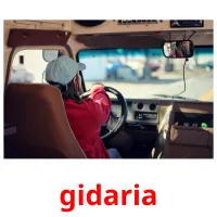 gidaria ansichtkaarten