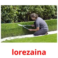 lorezaina ansichtkaarten