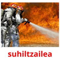 suhiltzailea ansichtkaarten