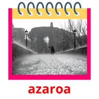azaroa picture flashcards