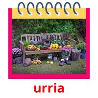 urria flashcards illustrate