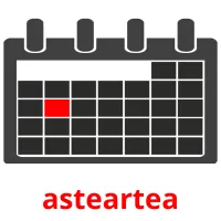 asteartea picture flashcards