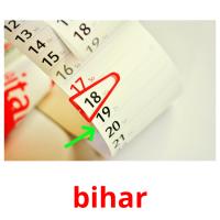 bihar flashcards illustrate