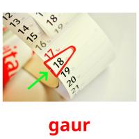 gaur picture flashcards