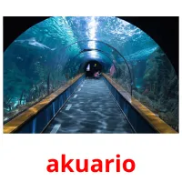 akuario cartões com imagens