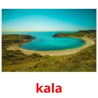 kala cartões com imagens