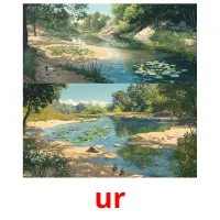 ur cartões com imagens