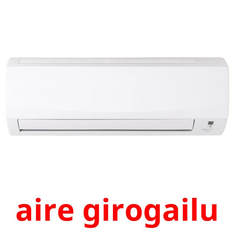 aire girogailu picture flashcards