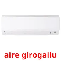 aire girogailu picture flashcards