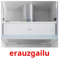 erauzgailu picture flashcards