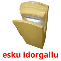 esku idorgailu picture flashcards